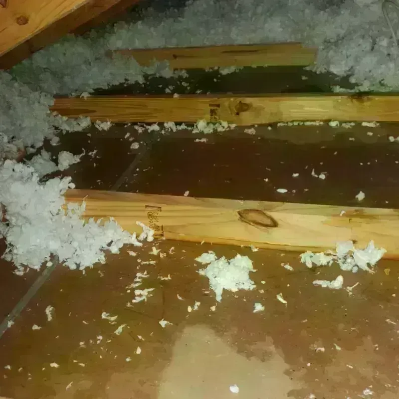 Attic Water Damage in Six Shooter Canyon, AZ