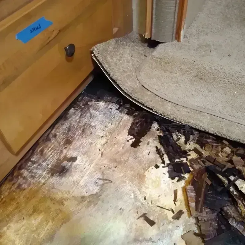 Wood Floor Water Damage in Six Shooter Canyon, AZ